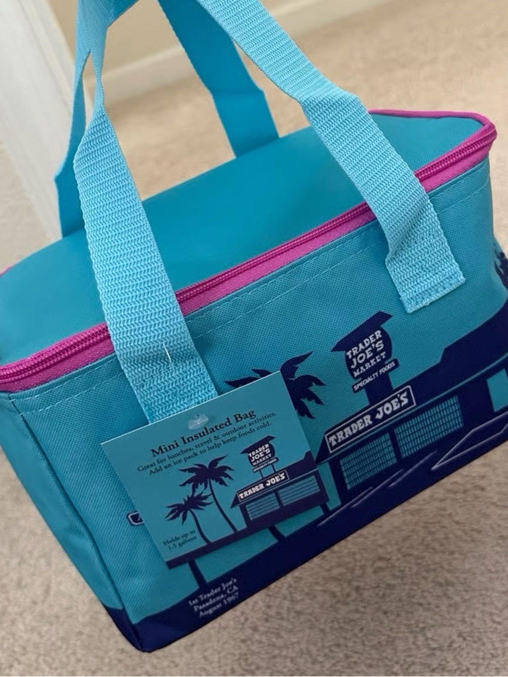Trader Joe's Teal Mini Insulated Bag